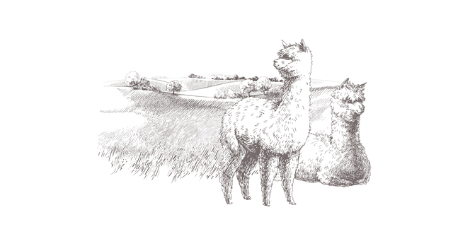 Alpacavoeding  als basis van  een topconditie